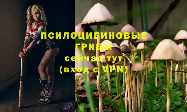 ALPHA-PVP Баксан