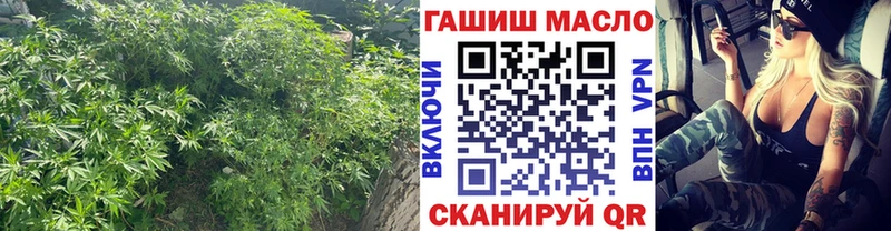 Дистиллят ТГК гашишное масло  что такое   Прохладный 