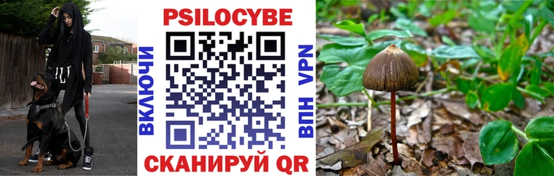 mega как зайти Прохладный Псилоцибиновые грибы GOLDEN TEACHER