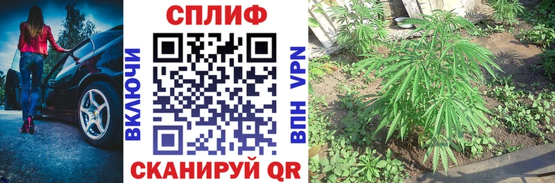 Бошки Шишки White Widow Прохладный